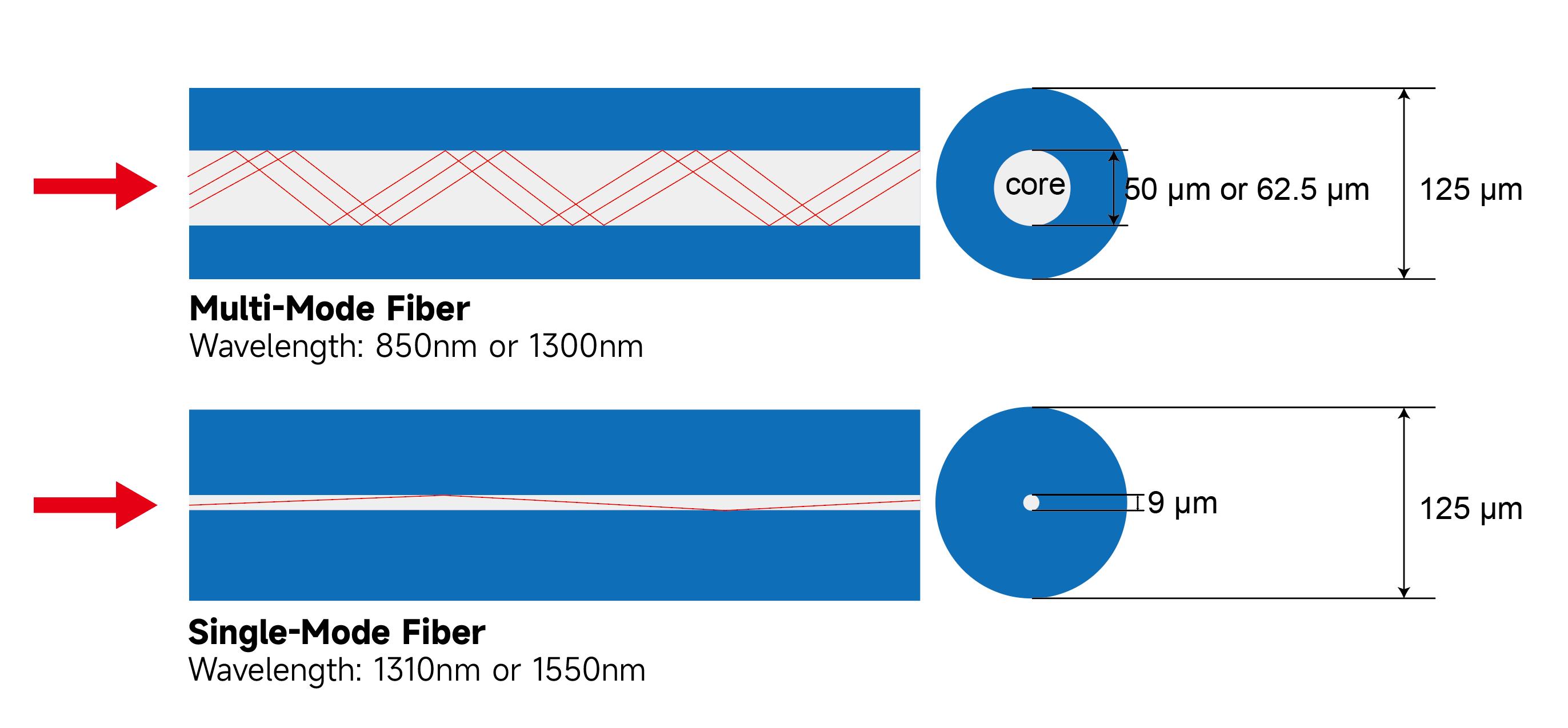 Single-mode fiber and multimode fiber